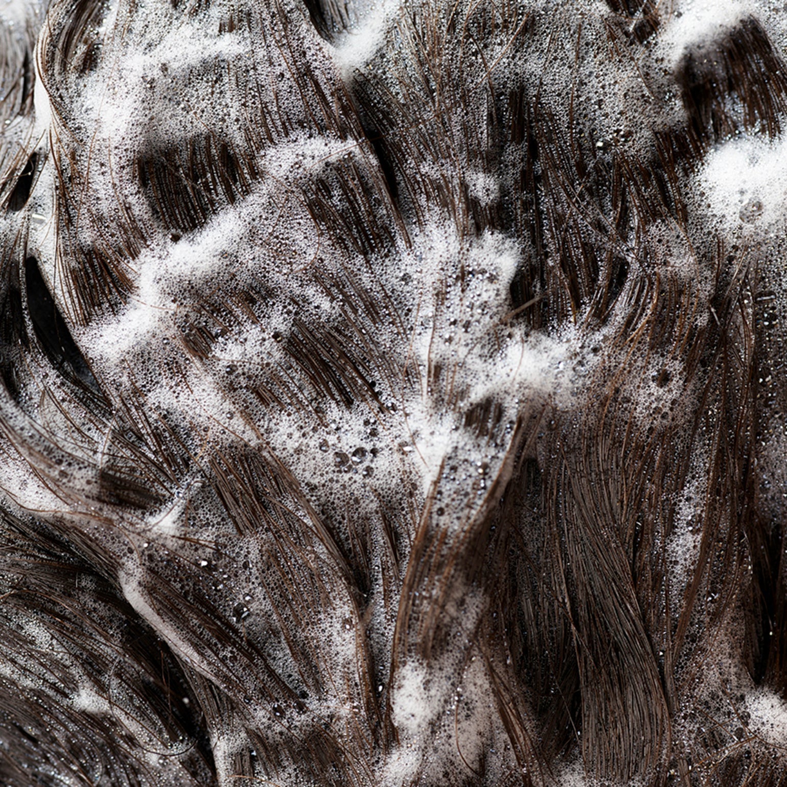 Oribe Signature Shampoo - Oribe Hair Care - Image 5